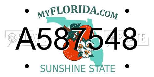 A587548 Florida License Plate