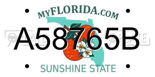 A58765B Florida License Plate