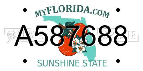 A587688 Florida License Plate