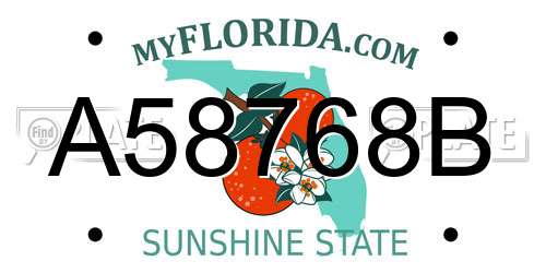 A58768B Florida License Plate