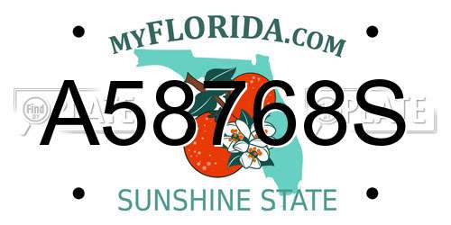 A58768S Florida License Plate