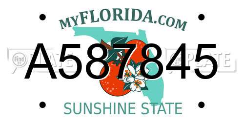 A587845 Florida License Plate