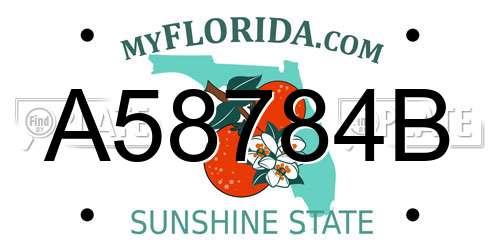 A58784B Florida License Plate