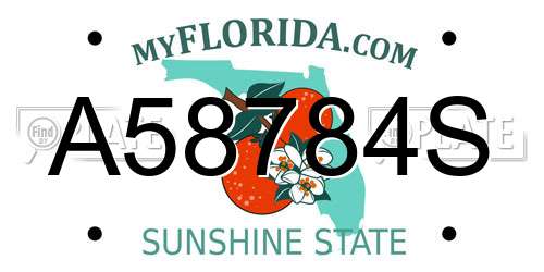 A58784S Florida License Plate