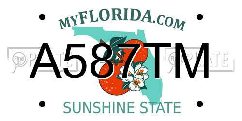 A587TM Florida License Plate