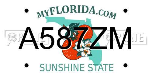 A587ZM Florida License Plate