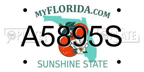 A5895S Florida License Plate
