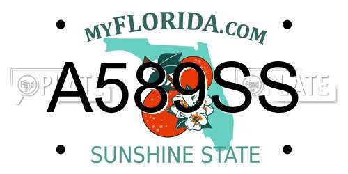 A589SS Florida License Plate