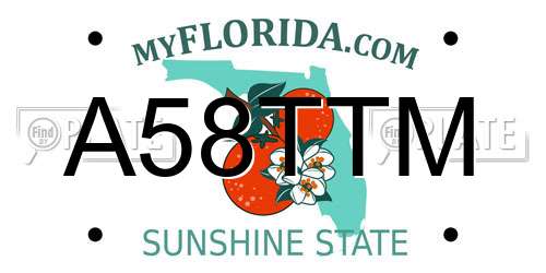 A58TTM Florida License Plate