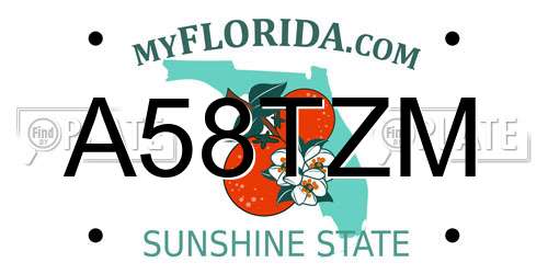 A58TZM Florida License Plate