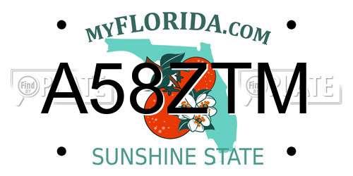 A58ZTM Florida License Plate