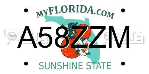 A58ZZM Florida License Plate