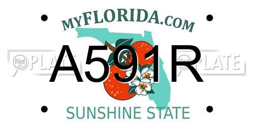 A591R Florida License Plate