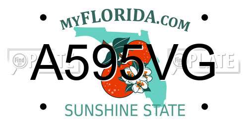 A595VG Florida License Plate