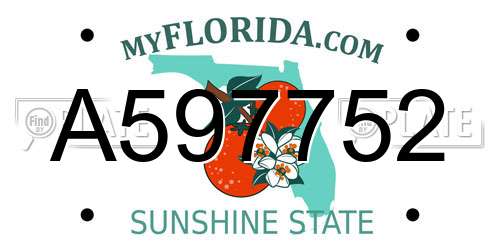 A597752 Florida License Plate