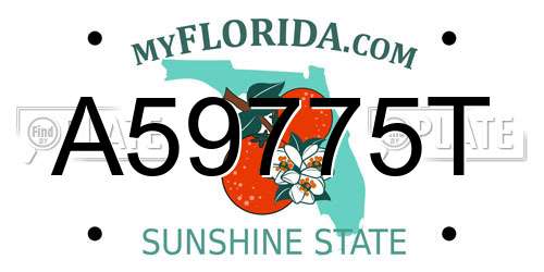 A59775T Florida License Plate
