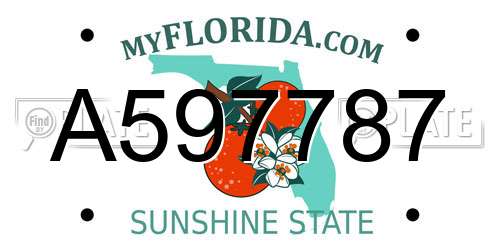 A597787 Florida License Plate