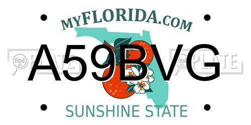 A59BVG Florida License Plate