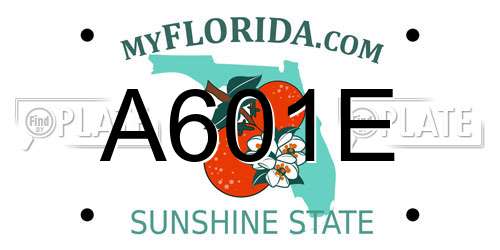 A601E Florida License Plate