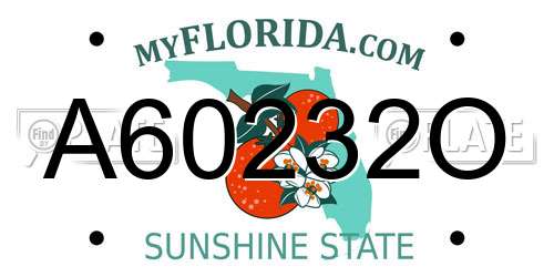 A60232O Florida License Plate