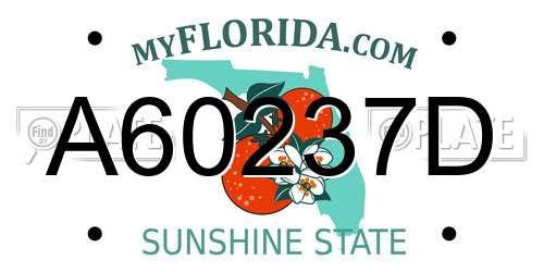 A60237D Florida License Plate