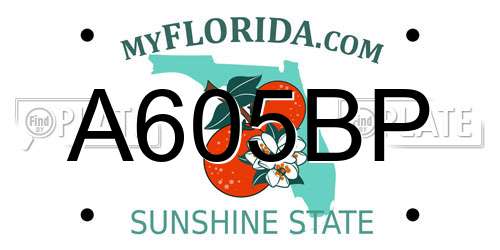 A605BP Florida License Plate