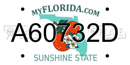 A60732D Florida License Plate