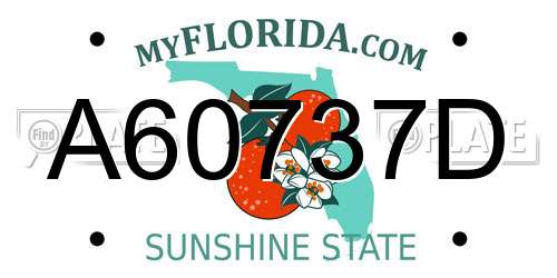 A60737D Florida License Plate