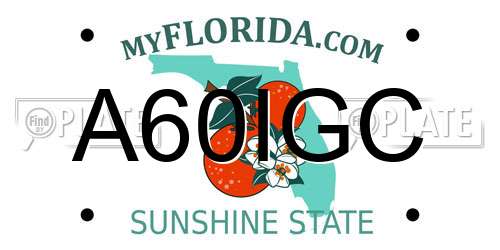 A60IGC Florida License Plate