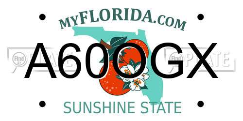 A60OGX Florida License Plate
