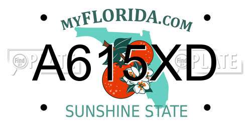 A615XD Florida License Plate