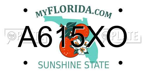 A615XO Florida License Plate