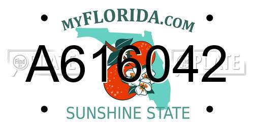A616042 Florida License Plate
