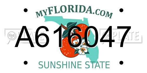 A616047 Florida License Plate