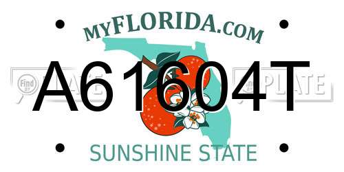 A61604T Florida License Plate
