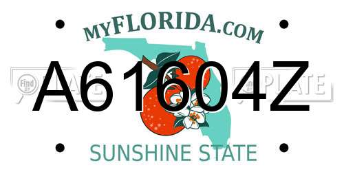 A61604Z Florida License Plate