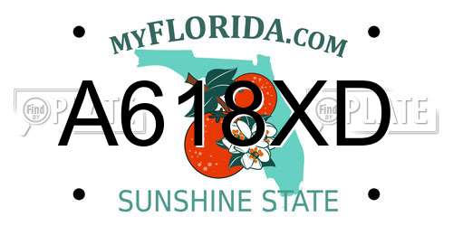 A618XD Florida License Plate