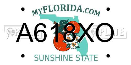 A618XO Florida License Plate