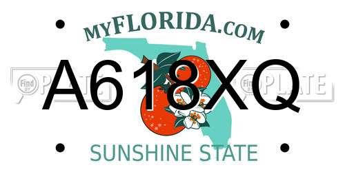 A618XQ Florida License Plate