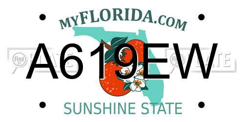 A619EW Florida License Plate