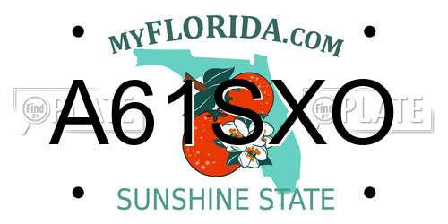A61SXO Florida License Plate