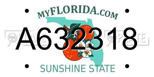 A632318 Florida License Plate