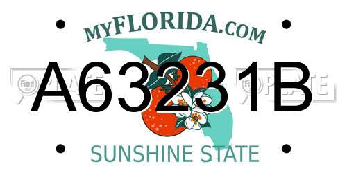 A63231B Florida License Plate