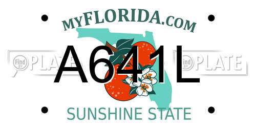A641L Florida License Plate