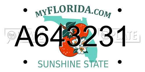 A643231 Florida License Plate