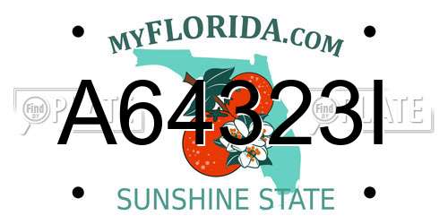 A64323I Florida License Plate