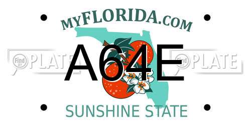 A64E Florida License Plate