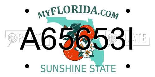 A65653I Florida License Plate
