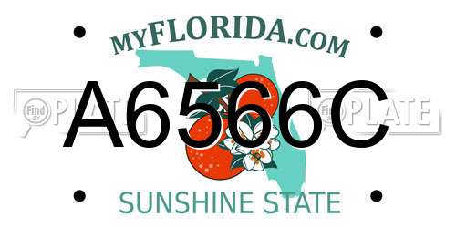 A6566C Florida License Plate