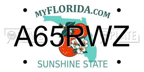 A65RWZ Florida License Plate
